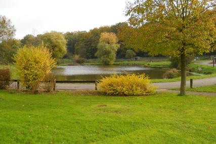 thuin