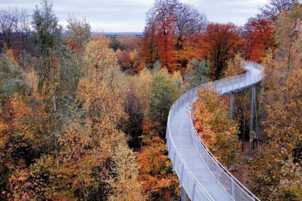 Le Promenoir des Cimes, situé dans la Forêt de Bons Secours, en plein coeur du Parc Naturel des Plaines de l'Escaut. © Visit Wapi - Serge Brison