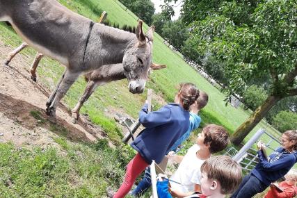 des enfants devant un âne