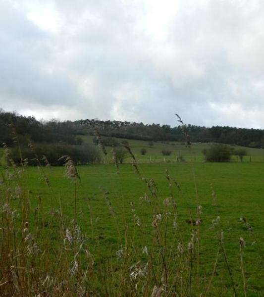 La grande traversée de la forêt du Pays de Chimay- Forges -Olloy-sur-Viroin