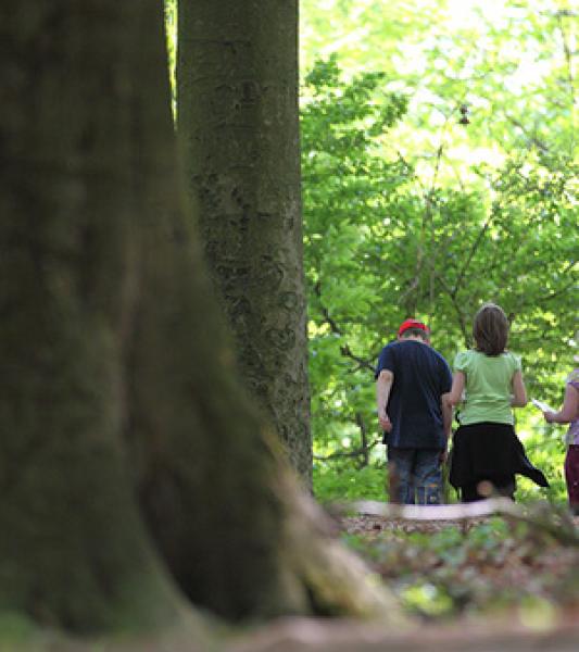 un couple de dos marche dans la forêt
