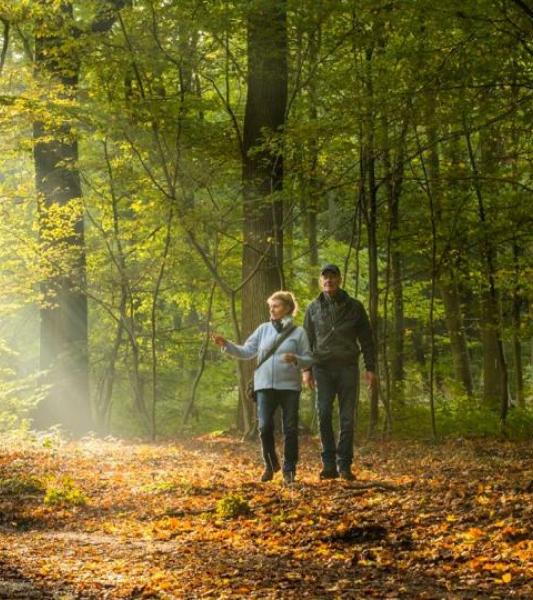 Balade nature - Thoricourt, ses sentiers et collines boisées