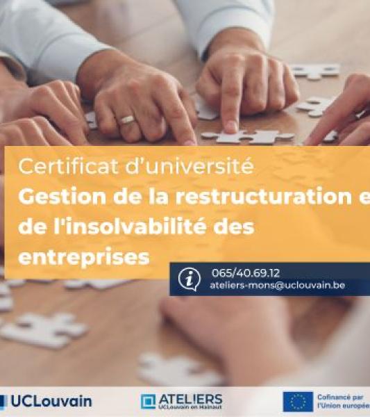 Gestion de la restructuration et de l’insolvabilité des entreprises
