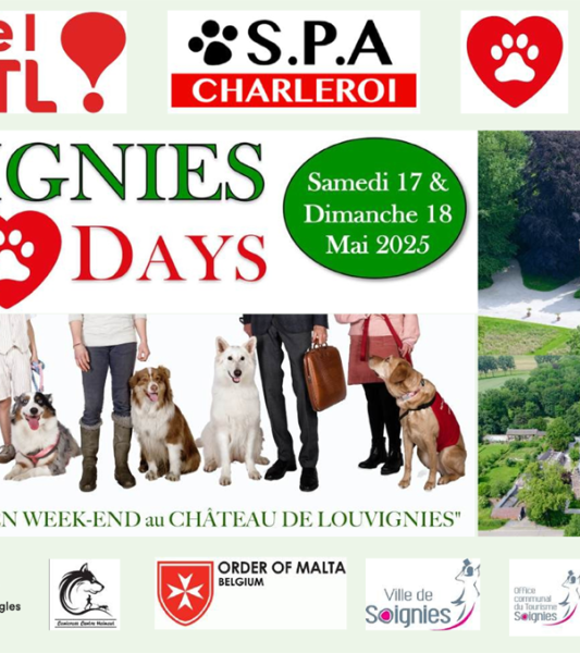 Dogs Days