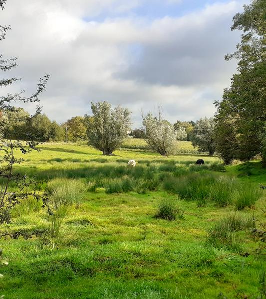 Le paysage de Petit-Roeulx-lez-Braine