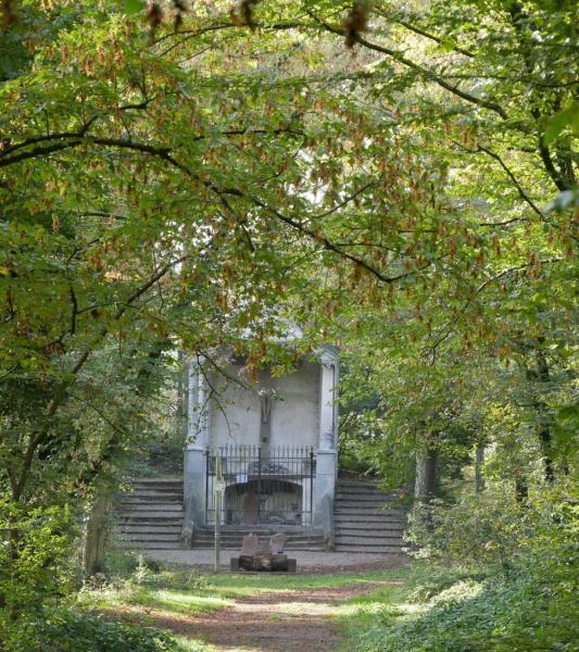 Le Bois du grand Bon Dieu à Thuin  