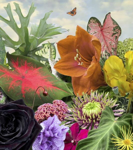 Ruud van Empel. A Perfect World 
