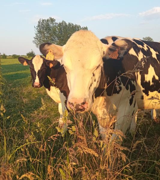 Visitez la Ferme expérimentale et pédagogique du  CARAH à