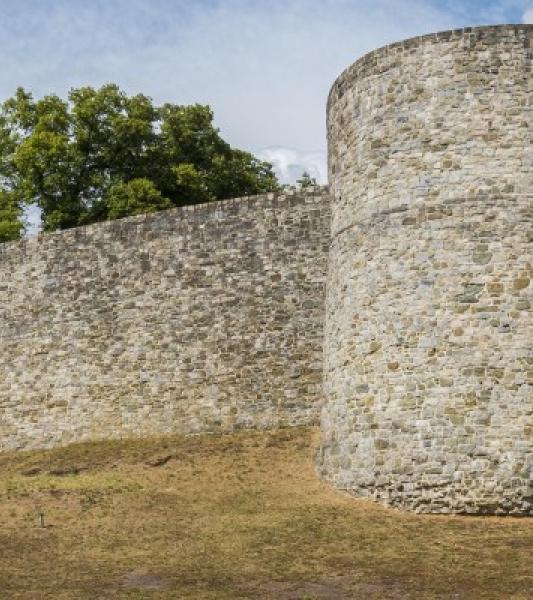 Visites guidées thématiques