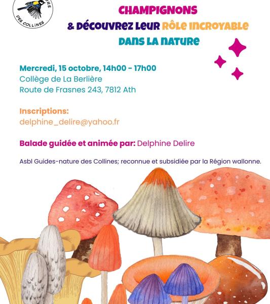 Balade nature champignons