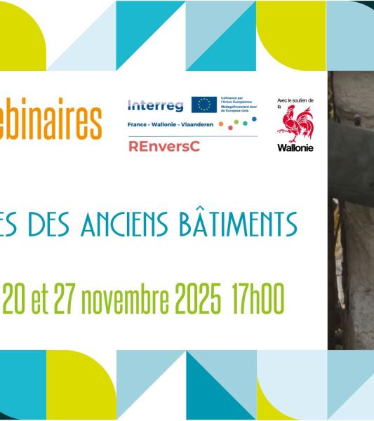 Cycle de webinaires : Pathologies des anciens bâtiments