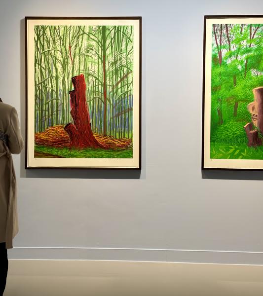 David Hockney. Le Chant de la Terre au CAP 