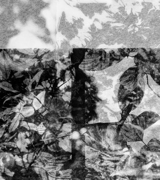  Bords perdus à la Maison Losseau 