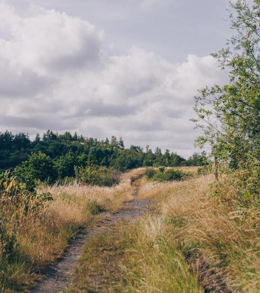 Promenade du terril Saint-Charles 
