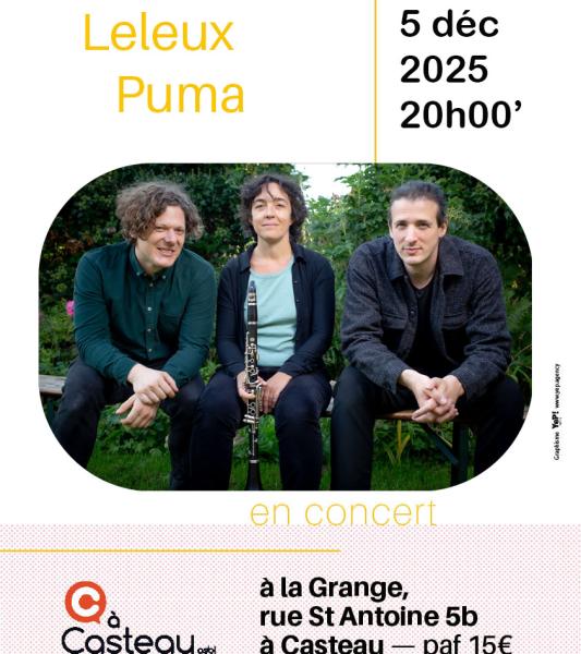 Charneux-Leleux-Puma en concert