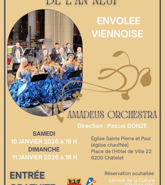 CONCERT DE L'AN NEUF