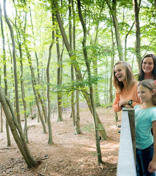 Circuit de l’Avenue de l’Hermitage 