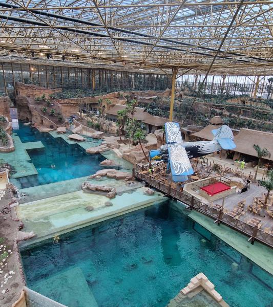 Ouverture d’Edenya  à Pairi Daiza 