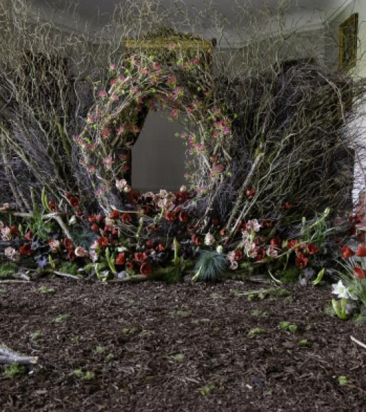 Exposition Amaryllis