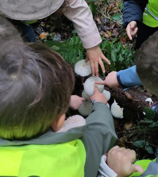 Sur les traces du vivant