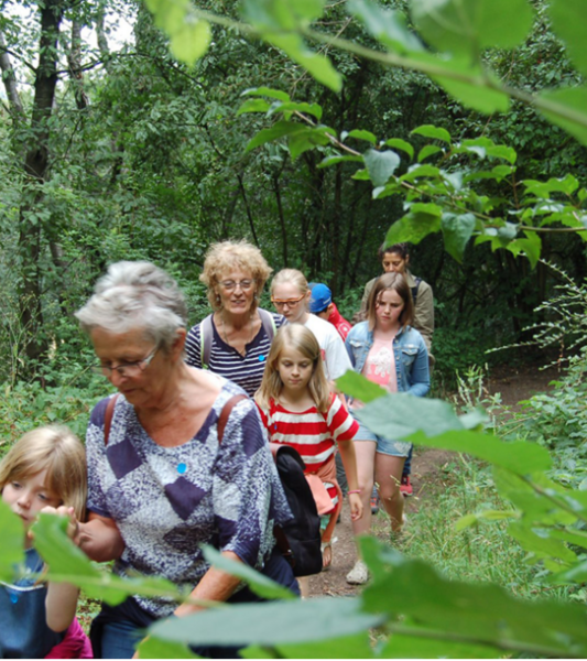 Champignons & compagnie : balade sur le terril