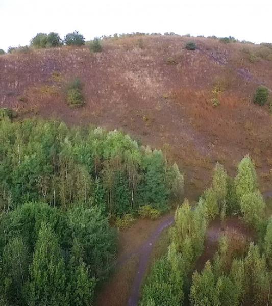 Une journée sur le Terril du Bayemont Saint-Charles