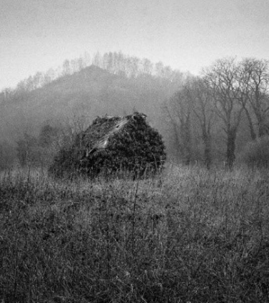 Exposition "Territoires intimes"