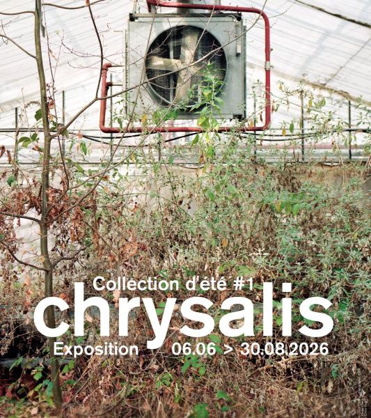 Exposition  Chrysalis Collection d'été #1