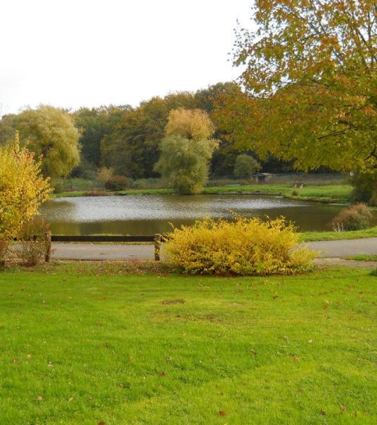 thuin