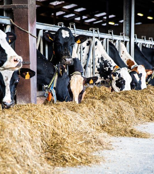 agr