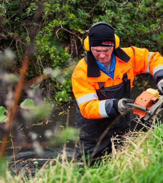 HD_Rieu de Barges et Rieu de la place de Taintignies à Willemeau-11