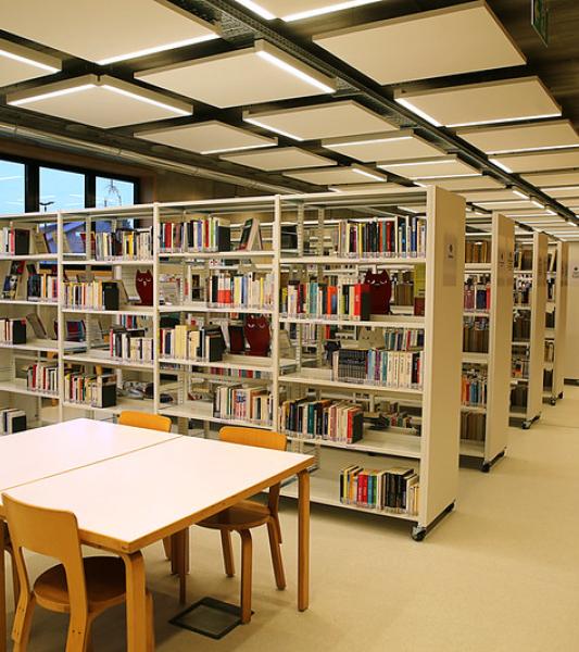 Rayonnage de bibliothèque