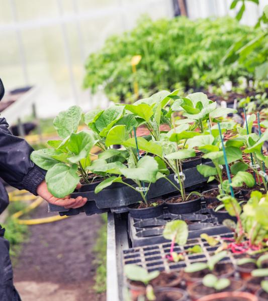 La Province réorganise son enseignement horticole dans le coeur du Hainaut