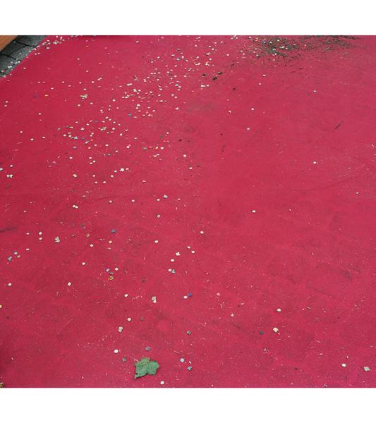 Parc Heysel 2009 Chantal Maes