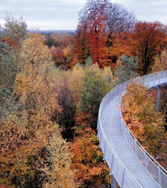 Le Promenoir des Cimes, situé dans la Forêt de Bons Secours, en plein coeur du Parc Naturel des Plaines de l'Escaut. © Visit Wapi - Serge Brison