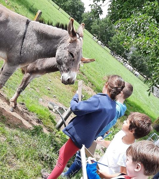 des enfants devant un âne
