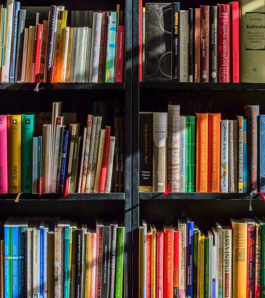 Comment développer le rôle des bibliothèques dans l’inclusion. @pixabay