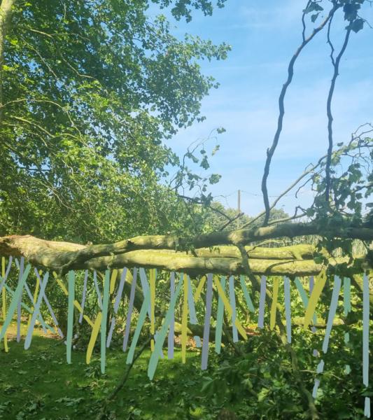 une oeuvre en plein air 