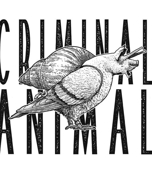 criminal animal