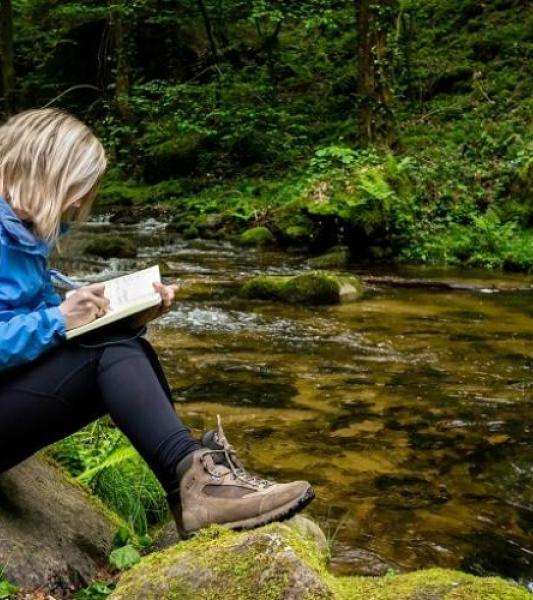 Le Secteur Éducation permanente et Jeunesse de la Province de Hainaut propose un stage résidentiel pour adultes, écrire dans la nature au départ du Caillou-qui-bique, les 9 et 10 novembre à Roisin.