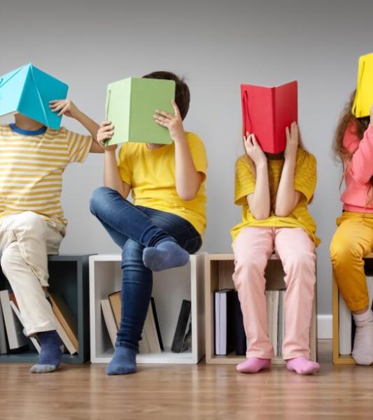 Le Service d'action provinciale, d'animations et de sensibilisation au handicap (SAPASH) fait appel à votre générosité et vous invite à contribuer à une grande collecte des livres pour enfants pour le 18 décembre. 