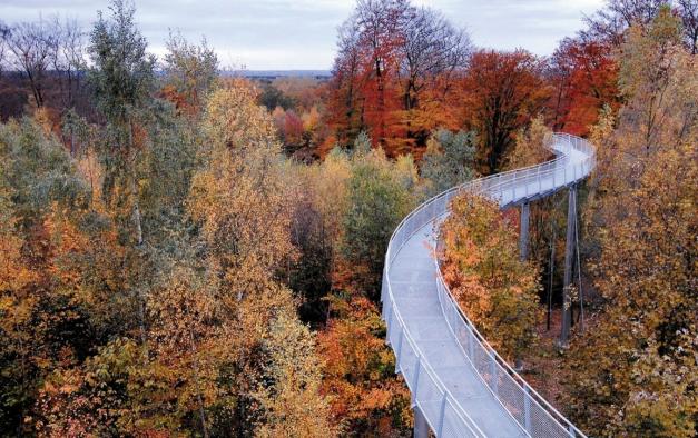 Le Promenoir des Cimes, situé dans la Forêt de Bons Secours, en plein coeur du Parc Naturel des Plaines de l'Escaut. © Visit Wapi - Serge Brison