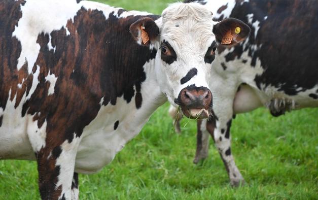 agri
