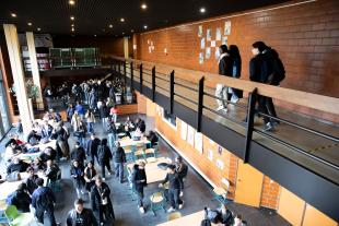 Enseignement